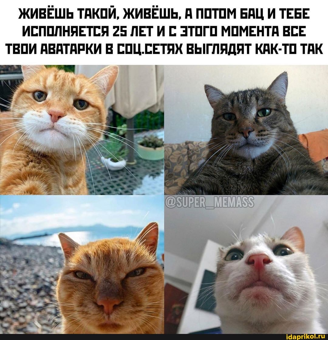ЖИВЁШЬ ТАКОЙ, ЖИВЁШЬ, А ПОТОМ БАЦ И ТЕБЕ
ИСПОЛНЯЕТСЯ 25 ЛЕТИ С ЭТОГО МОМЕНТА ВСЕ
ТВОИ АВАТАРКИ В СОЦ.СЕТЯХ ВЫГЛЯДЯТ КАК-ТО ТАК