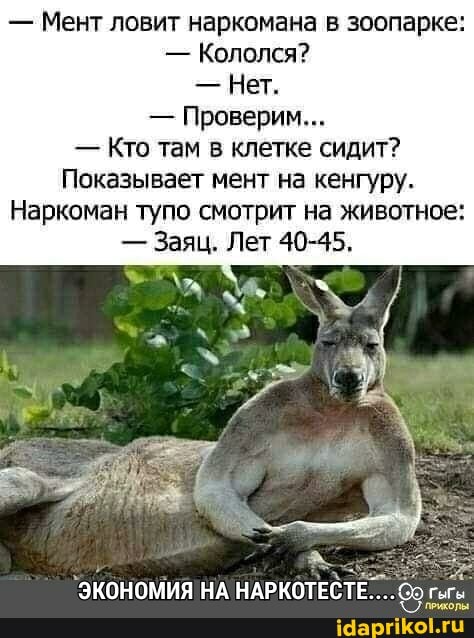 - Мент ловит наркомана в зоопарке:
- Кололся?
- Нет.
- Проверим...
- Кто там в клетке сидит?
Показывает мент на кенгуру.
Наркоман тупо смотрит на животное:
- Заяц. Лет 0-45,
ЭКОНОМИЯ НА НАРКОТЕСТЕ....
