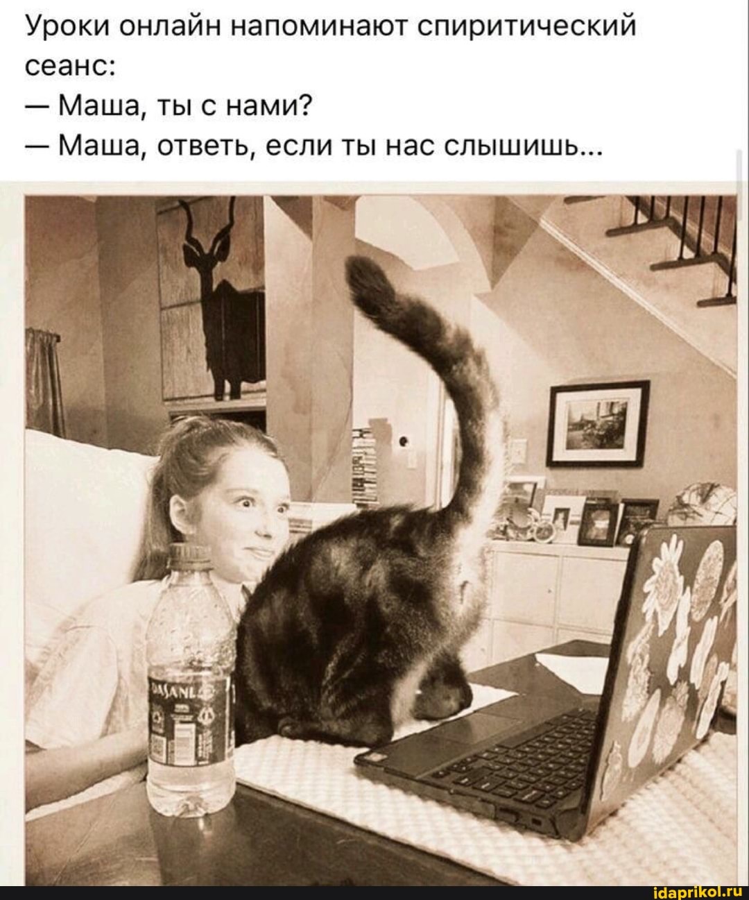 Уроки онлайн напоминают спиритический сеанс:
- Маша, ты с нами?
- Маша, ответь, если ты нас слышишь...