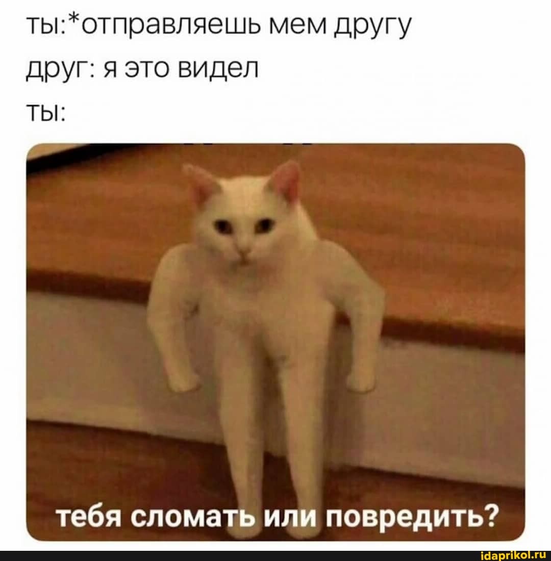 ты: *отправляешь мем другу друг: я это видел
ТЫ:
' тебя сломать или повредить?