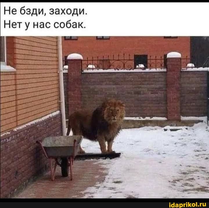 Не бзди, заходи.
Нету нас собак.