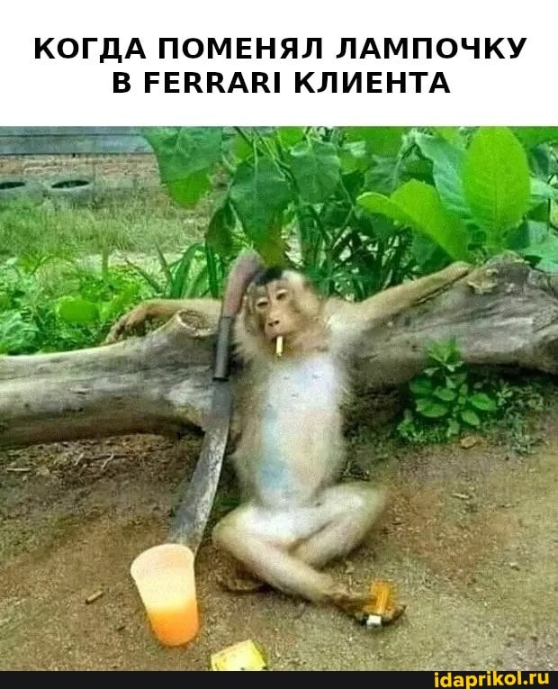 КОГДА ПОМЕНЯЛ ЛАМПОЧКУ В РЕВВАВ! КЛИЕНТА
