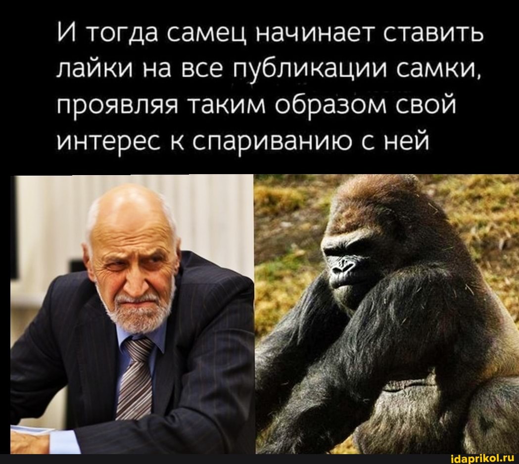 И тогда самец начинает ставить лайки на все публикации самки, проявляя таким образом свой интерес к спариванию с ней