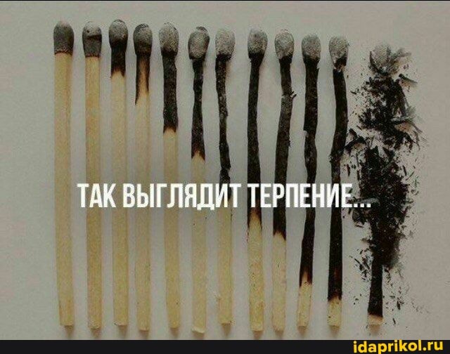 ТАК ВЫГЛЯДИТ ТЕРПЕНИЕ .