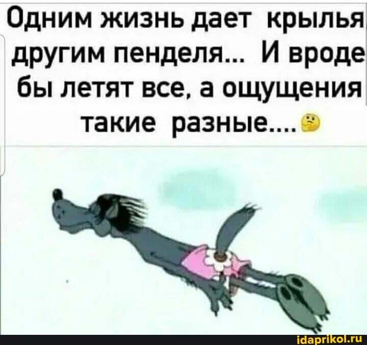 Одним жизнь дает крылья другим пенделя... И вроде бы летят все, а ощущения
такие разные.... *