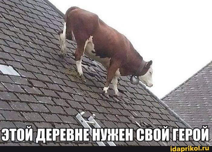 ЭТОЙ ДЕРЕВНЕНУЖЕН СВОЙ ГЕРОЙ