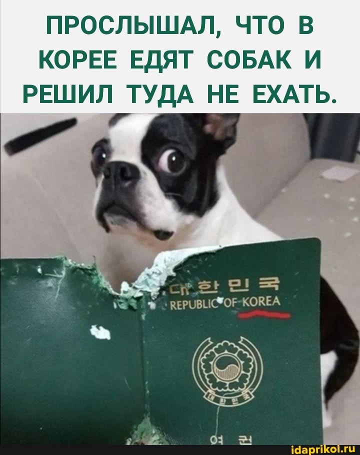 ПРОСЛЫШАЛ, ЧТО В КОРЕЕ ЕДЯТ СОБАК И РЕШИЛ ТУДА НЕ ЕХАТЬ.