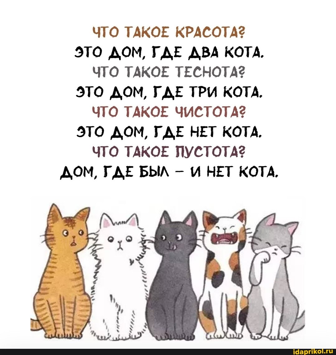 ЧТО ТАКОЕ КРАСОТА?
ЭТО ДОМ, ГДЕ ДВА КОТА.
ЧТО ТАКОЕ ТЕСНОТА?
ЭТО ДОМ, ГДЕ ТРИ КОТА,
ЧТО ТАКОЕ ЧИСТОТА?
ЭТО ДОМ, ГДЕ НЕТ КОТА.
ЧТО ТАКОЕ ПУСТОТА?
ДОМ, ГДЕ БЫЛ - И НЕТ КОТА,