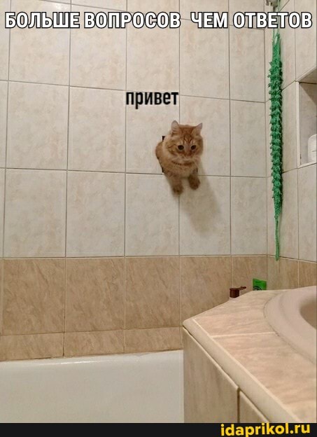БОЛЬШЕ ВОПРОСОВ ЧЕМ ОТВЕТОВ
привет