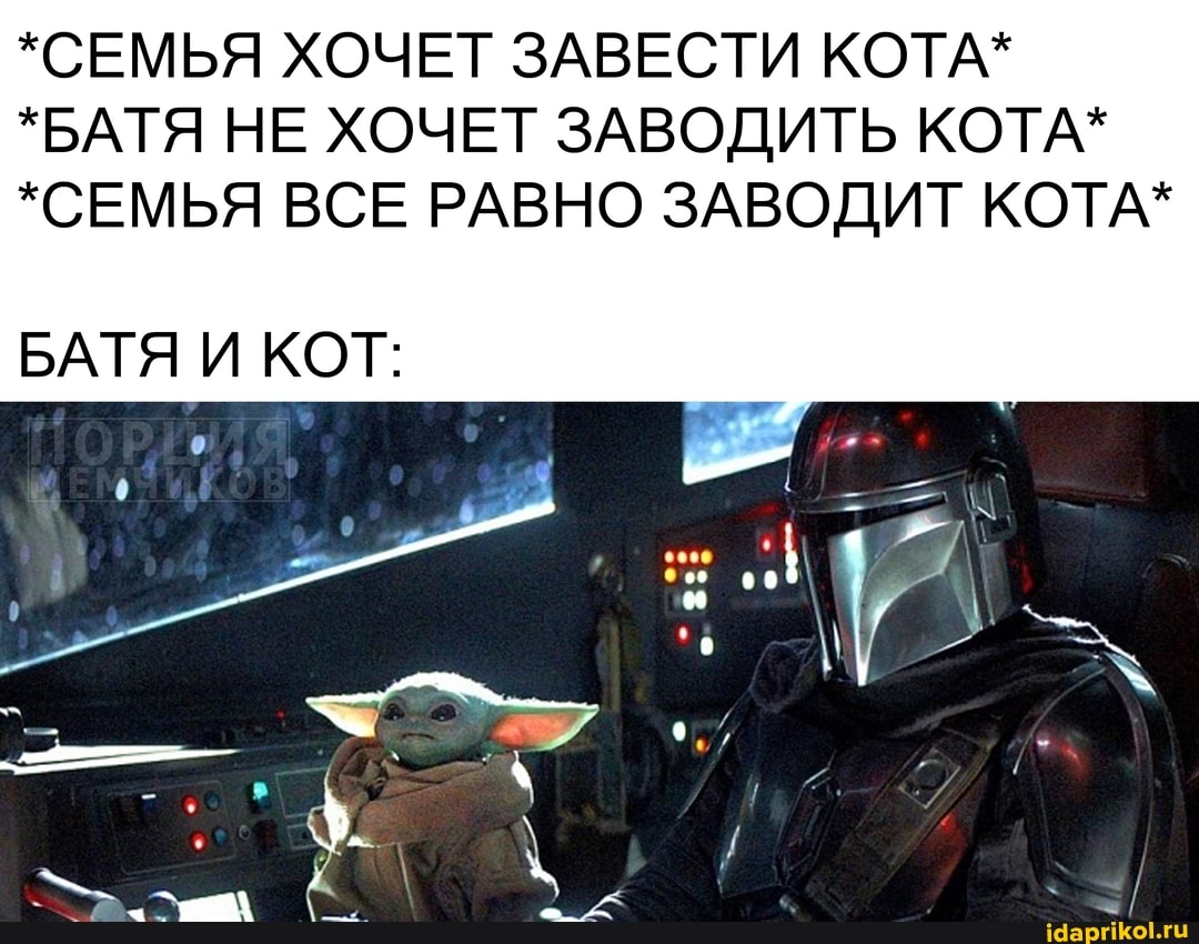 *СЕМЬЯ ХОЧЕТ ЗАВЕСТИ КОТА*
*БАТЯ НЕ ХОЧЕТ ЗАВОДИТЬ КОТА*
*СЕМЬЯ ВСЕ РАВНО ЗАВОДИТ КОТА*
БАТЯ И КОТ:
