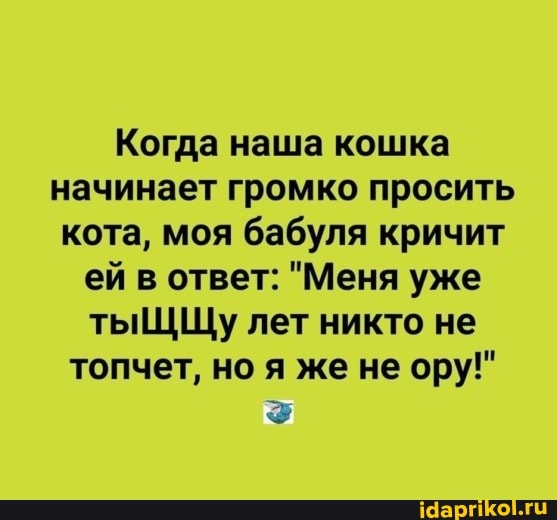 Когда наша кошка начинает громко просить кота, моя бабуля кричит ей в ответ: "Меня уже тыЩЩу лет никто не топчет, но я же не ору!"