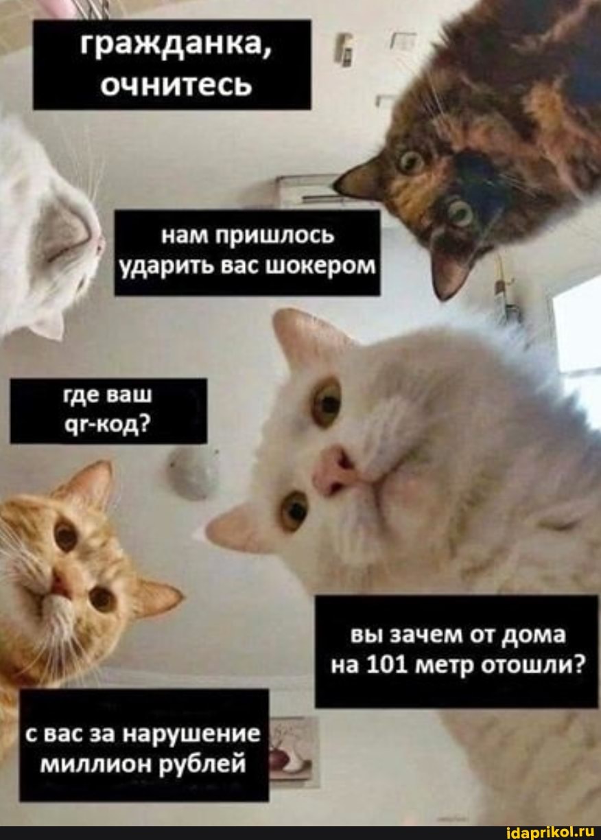 гражданка,
очнитесь
нам пришлось ударить вас шокером
где ваш
Чг-код?
вы зачем от дома
на 101 метр отошли?
с вас за нарушение миллион рублей