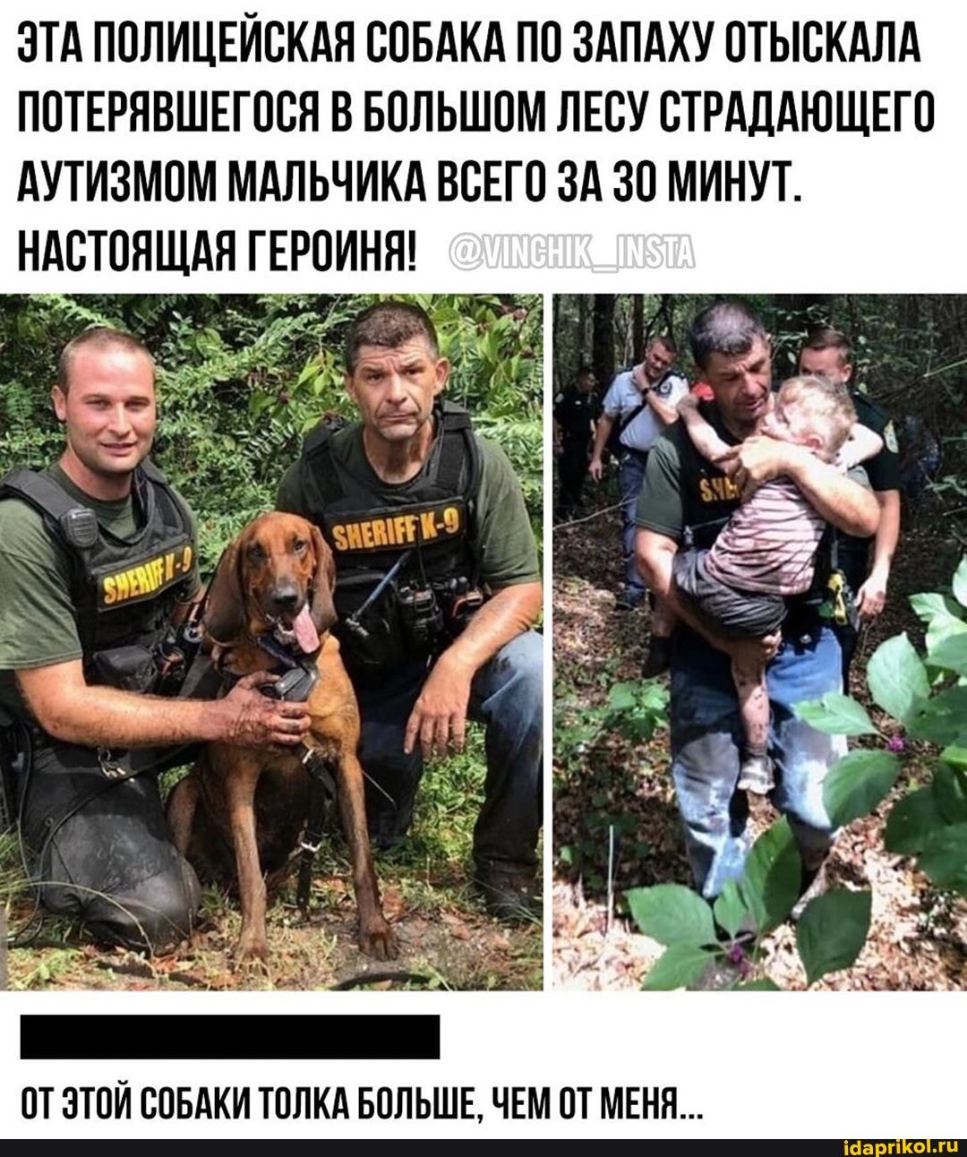 ЭТА ПОЛИЦЕЙСКАЯ СОБАКА ПО ЗАПАХУ ОТЫСКАЛА
ПОТЕРЯВШЕГОСЯ В БОЛЬШОМ ЛЕСУ СТРАДАЮЩЕГО
АУТИЗМОМ МАЛЬЧИКА ВСЕГО ЗА 30 МИНУТ.
НАСТОЯЩАЯ ГЕРОИНЯ!
ОТ ЭТОЙ СОБАКИ ТОЛКА БОЛЬШЕ, ЧЕМ ОТ МЕНЯ...