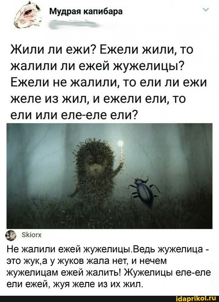 Мудрая капибара
Жили ли ежи? Ежели жили, то жалили ли ежей жужелицы?
Ежели не жалили, то ели ли ежи желе из жил, и ежели ели, то ели или еле-еле ели?
Не жалили ежей жужелицы.Ведь жужелица - это жука у жуков жала нет, и нечем жужелицам ежей жалить! Жужелицы еле-еле ели ежей, жуя желе из их жил.