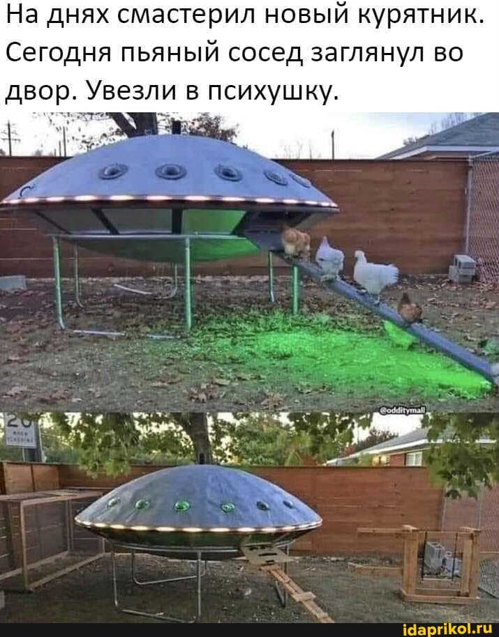 На днях смастерил новый курятник.
Сегодня пьяный сосед заглянул во двор. Увезли в психушку.
