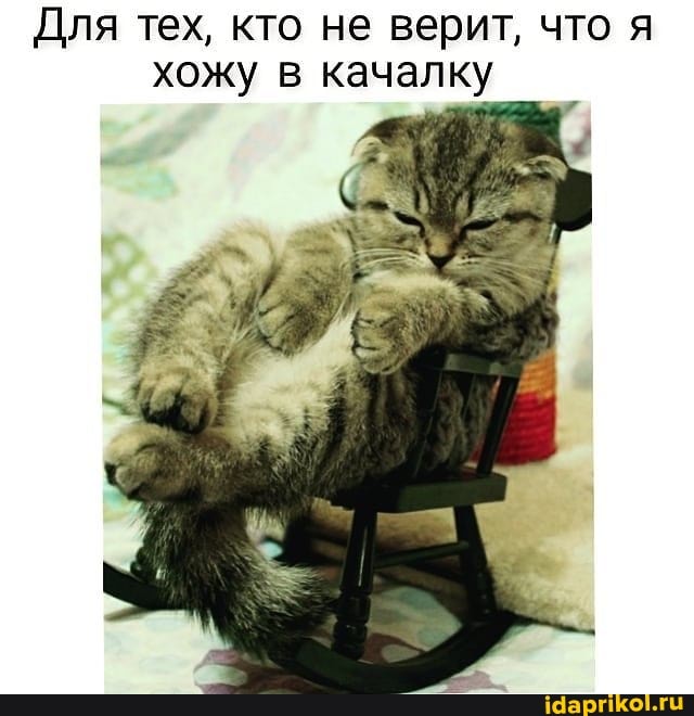 Для тех, кто не верит, что я хожу в качалку