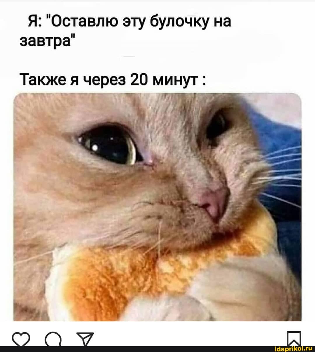 Я: "Оставлю эту булочку на завтра"
Также я через 20 минут: