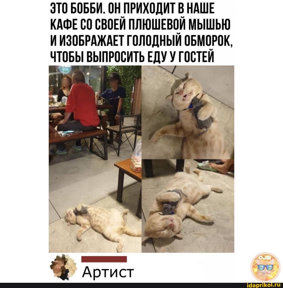ЭТО БОББИ. ОН ПРИХОДИТ В НАШЕ КАФЕ СВОЕЙ ПЛЮШЕВОЙ МЫШЬЮ И ИЗОБРАЖАЕТ ГОЛОДНЫЙ ОБМОРОК,
ЧТОБЫ ВЫПРОСИТЬ ЕДУ ГОСТЕЙ