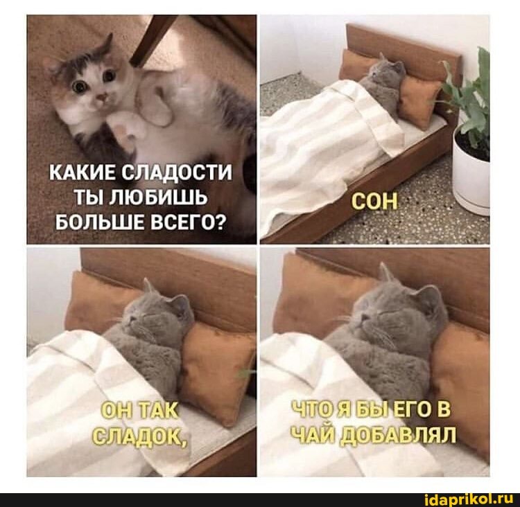 КАКИЕ СЛАДОСТИ
БОЛЬШЕ ВСЕГО?