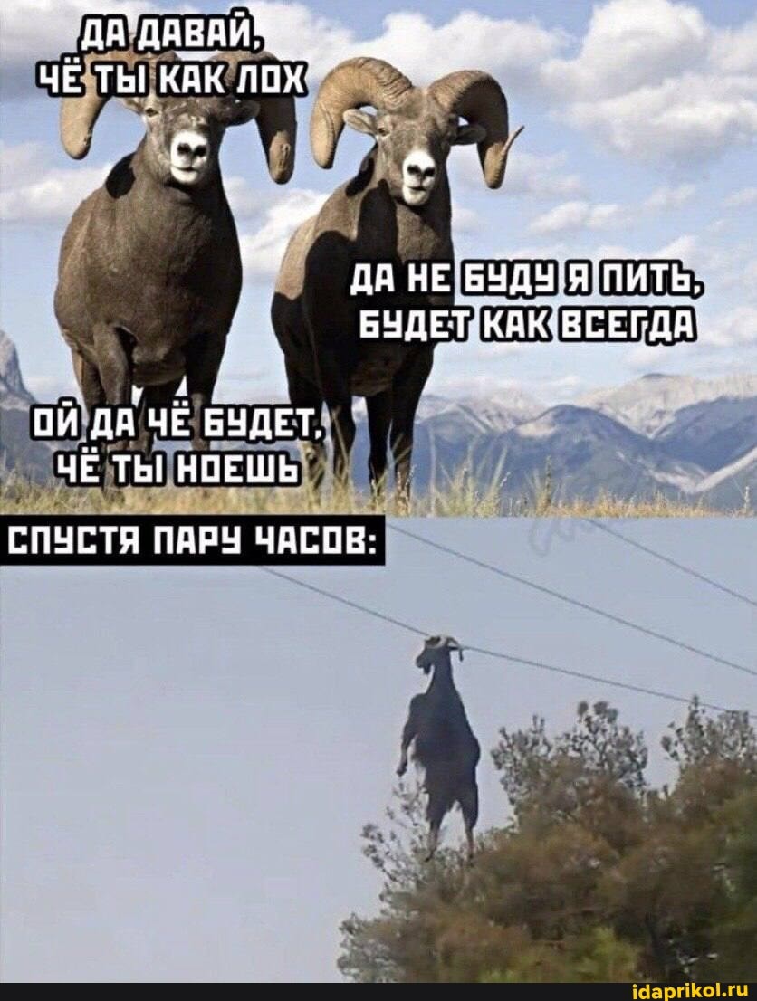 ДА ДАВАЙ ЧЕ ТЫ КАК ЛО
ДА НЕ БЧДУ Я ПИТЬ.
БУДЕТ КАК ВСЕГДА
ОЙ ДА ЧЁ БУДЕТ.
ЧЕ ТЫ! НОЕШЬ
СЛУСТЯ ПАРУ ЧАСОВ:
