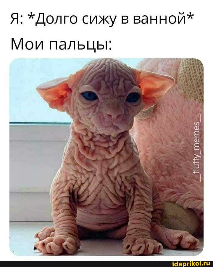 Я: *Долго сижу в ванной*
Мои пальцы: