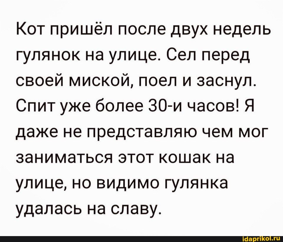 Кот пришёл после двух недель гулянок на улице. Сел перед своей миской, поел и заснул.
Спит уже более 30-и часов! Я даже не представляю чем мог заниматься этот кошак на улице, но видимо гулянка удалась на славу.