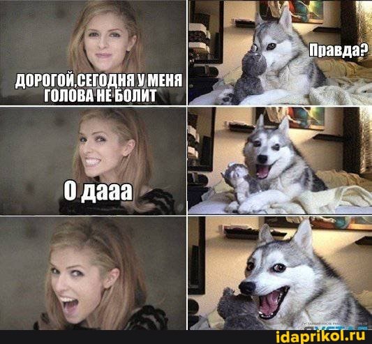 ДОРОГОЙ СЕГОДНЯ МЕНЯ ГОЛЗВА НЕ БОЛИТ
тА
0 дааа