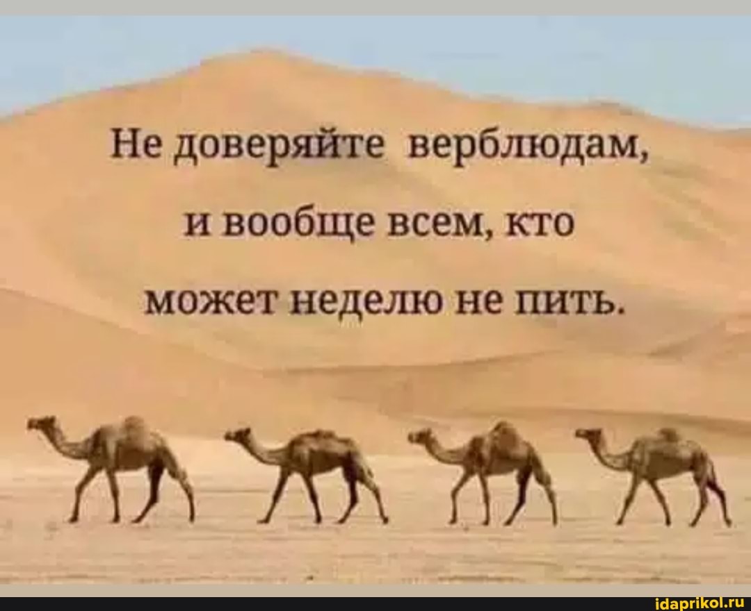 Не доверяйте верблюдам, и вообще всем, кто
может неделю не пить.