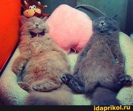 Прикольно :)