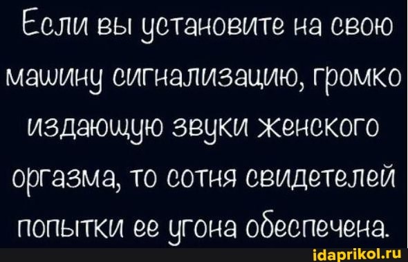 Если вы установите на свою машину сигнализацию, громко издающую звуки женского оргазма, то сотня свидетелей попытки ее угона обеспечена.