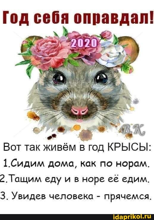Год себя оправдал!
Вот так живём год КРЫСЫ:
1.Сидим дома, как по норам.
2. Тащим еду и в норе её едим.
3. Увидев человека - прячемся.