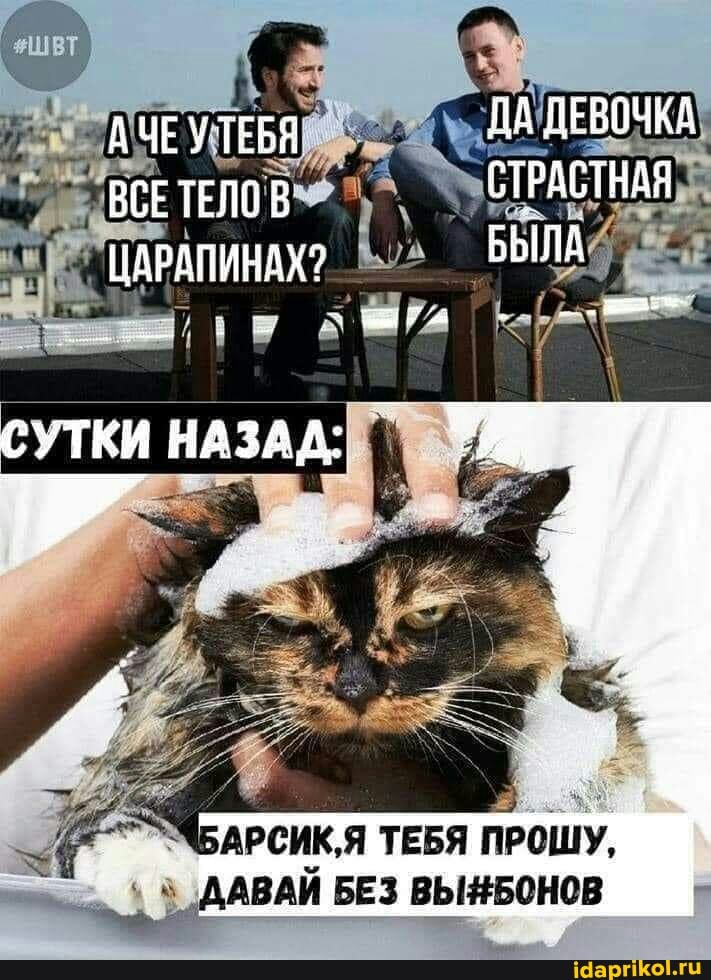 АЧЕУТЕБЯ ДА ДЕВОЧКА ВСЕТЕЛОВ СТРАСТНАЯ БЫЛА
ЦАРАПИНАХ?
СУТКИ НАЗАД:
АРСИК,Я ТЕБЯ ПРОШУ,
АВАЙ БЕЗ ВЫНБОНОВ