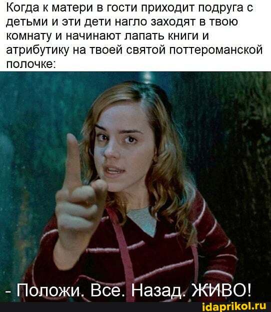 Когда к матери в гости приходит подруга с детьми и эти дети нагло заходят в твою комнату и начинают лапать книги и атрибутику на твоей святой поттероманской
полочке: