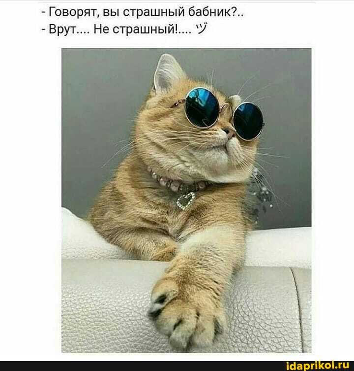 - Говорят, вы страшный бабник?..
- Врут.... Не страшный...