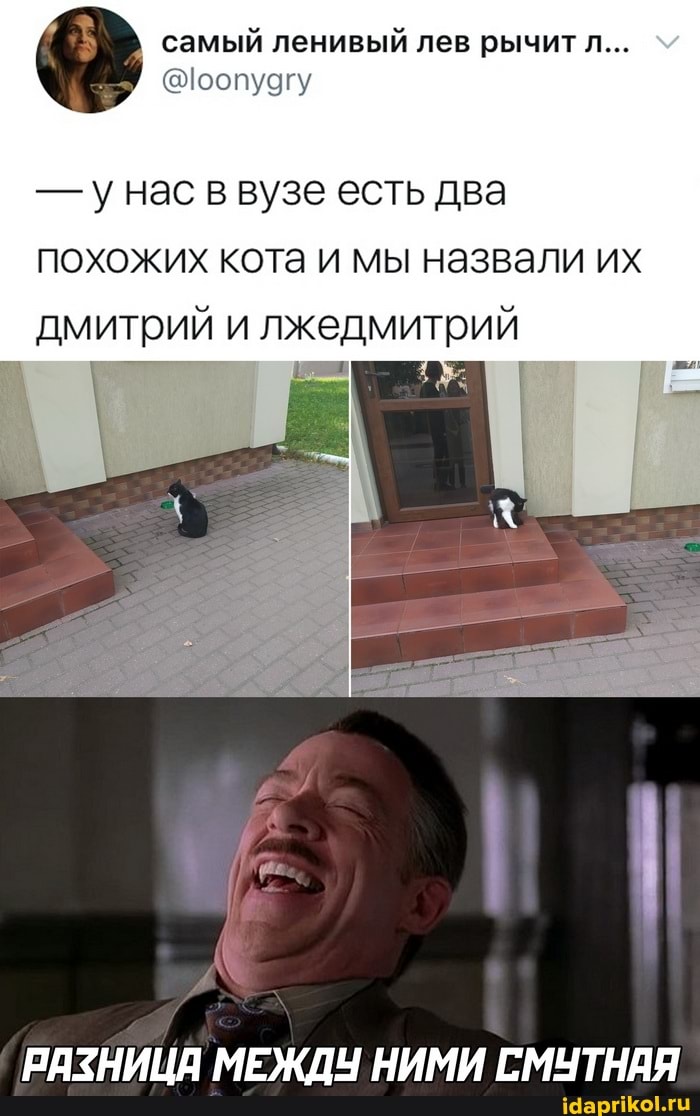 самый ленивый лев рычит л...
- нас в вузе есть два
похожих кота и мы назвали их дмитрий и дмитрий
РЯЗНИЦЯ МЕЖДУ НИМИ СМУТНАЯ