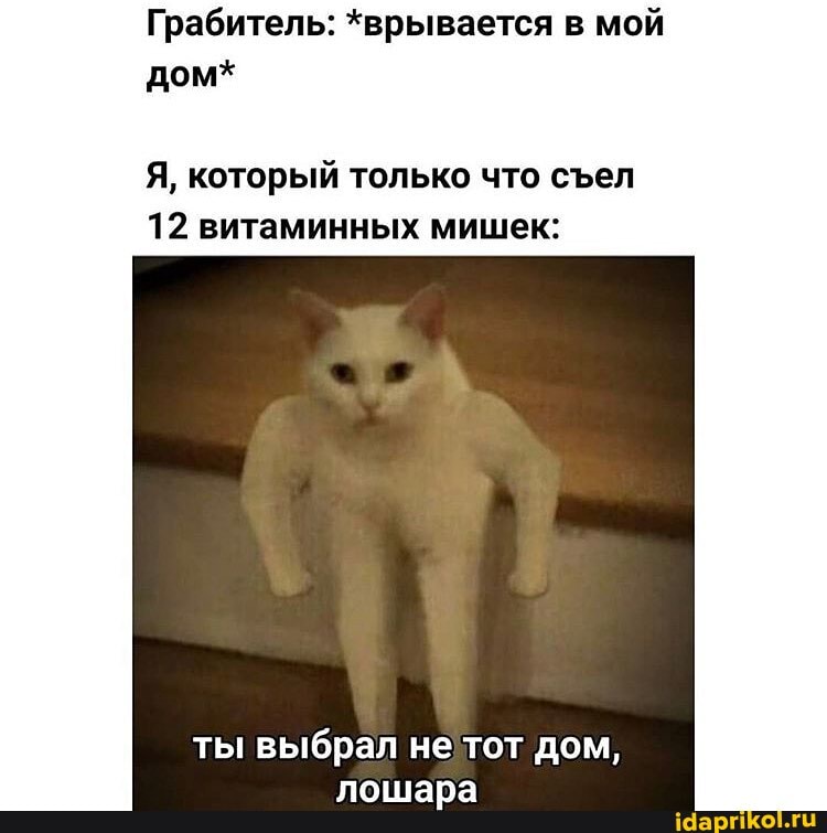 Грабитель: *врывается в мой
дом*
Я, который только что съел
12 витаминных мишек:
лошара
