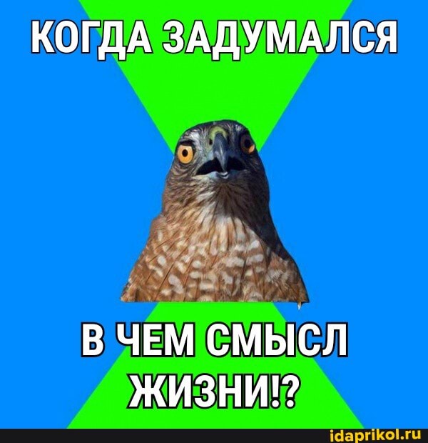 КОГДА ЗАДУМАЛСЯ
В ЧЕМ СМЫСЛ ЖИЗНИ!?