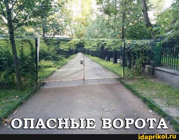 ОПАСНЫЕ ВОРОТА