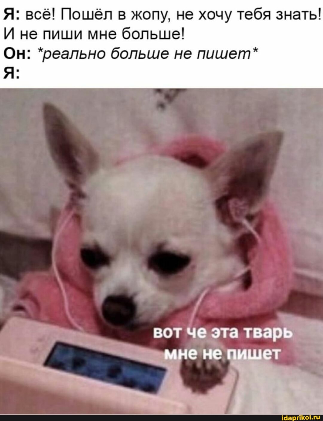 Я: всё! Пошёл в жопу, не хочу тебя знать!
И не пиши мне больше!
Он: *реально больше не пишет*
вот Че эта тварь