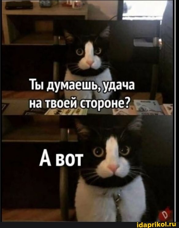 Ты думаешь, удача на твоеи стороне?
А вот