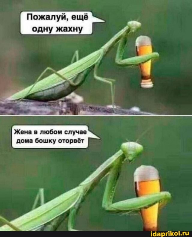 Пожалуй, ещё