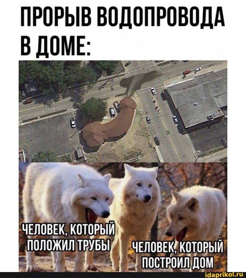 ПРОРЫВ ВОДОПРОВОДА
ДОМЕ:
ЧЕЛОВЕК, КОТОРЫЙ ПОЛОЖИЛ ТРУБЫ
"ЧЕЛОВЕКА КОТОРЫЙ