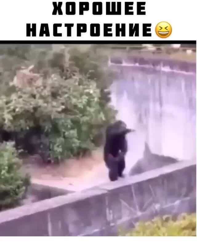 ХОРОШЕЕ НАСТРОЕНИЕ