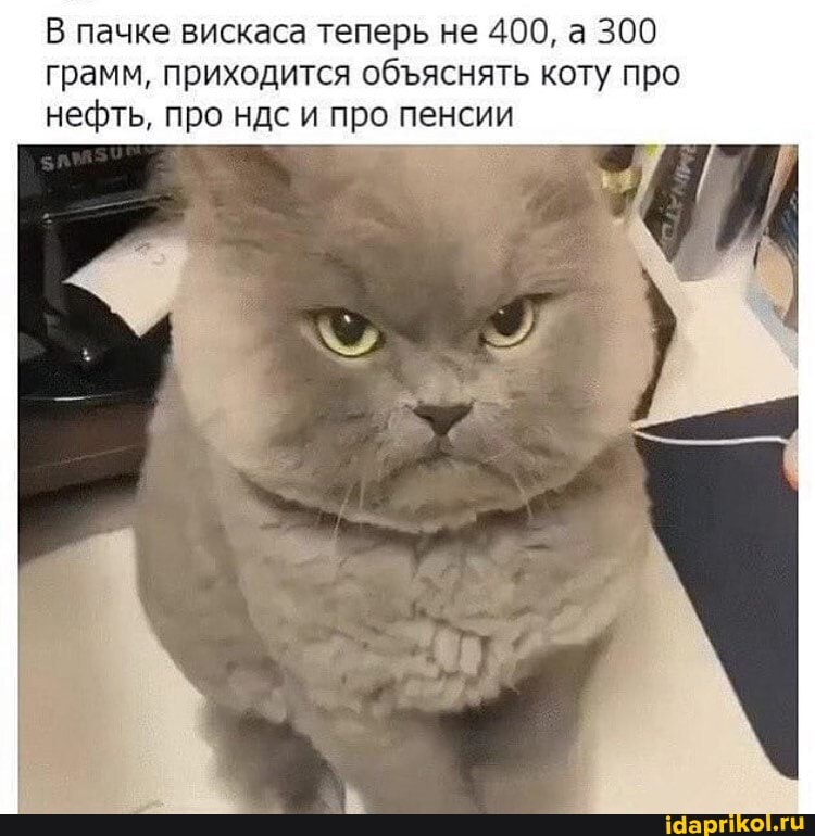 В пачке вискаса теперь не 400, а 300 грамм, приходится обяснять коту про нефть, про ндс и про пенсии