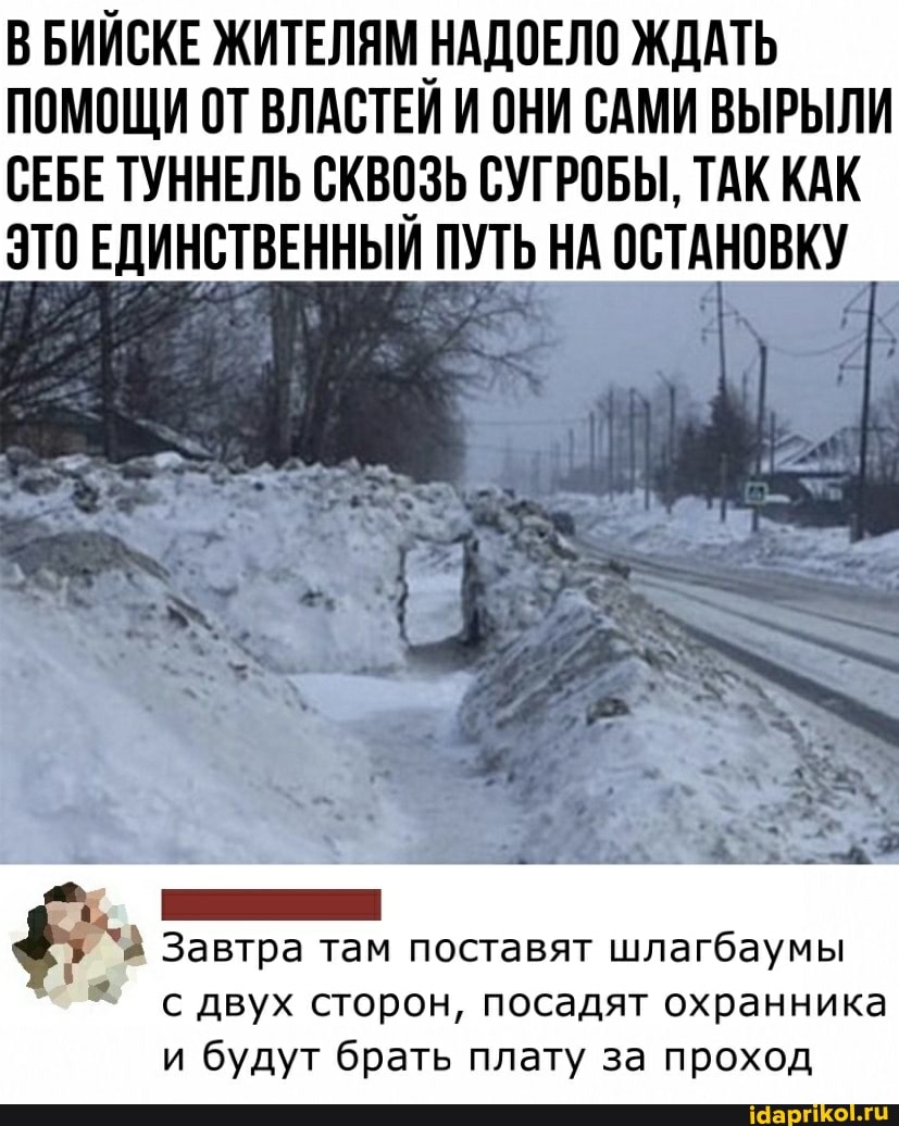 В БИЙСКЕ ЖИТЕЛЯМ НАДОЕЛО ЖДАТЬ ПОМОЩИ ОТ ВЛАСТЕИ И ОНИ САМИ ВЫРЫЛИ СЕБЕ ТУННЕЛЬ СКВОЗЬ СУГРОБЫ, ТАК КАК ЭТО ЕДИНСТВЕННЫЙ ПУТЬ НА ОСТАНОВКУ
Завтра там поставят шлагбаумы двух сторон, посадят охранника и будут брать плату за проход