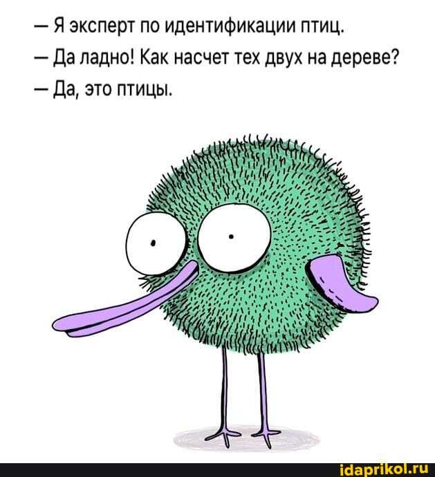 - Я эксперт по идентификации птиц.
- Да ладно! Как насчет тех двух на дереве?
- Да, это птицы.
