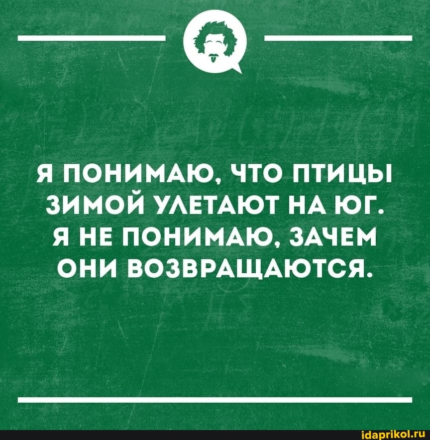Я ПОНИМАЮ, ЧТО ПТИЦЫ ЗИМОЙ УЛЕТАЮТ НА ЮГ.
Я НЕ ПОНИМАЮ, ЗАЧЕМ ОНИ ВОЗВРАЩАЮТСЯ.