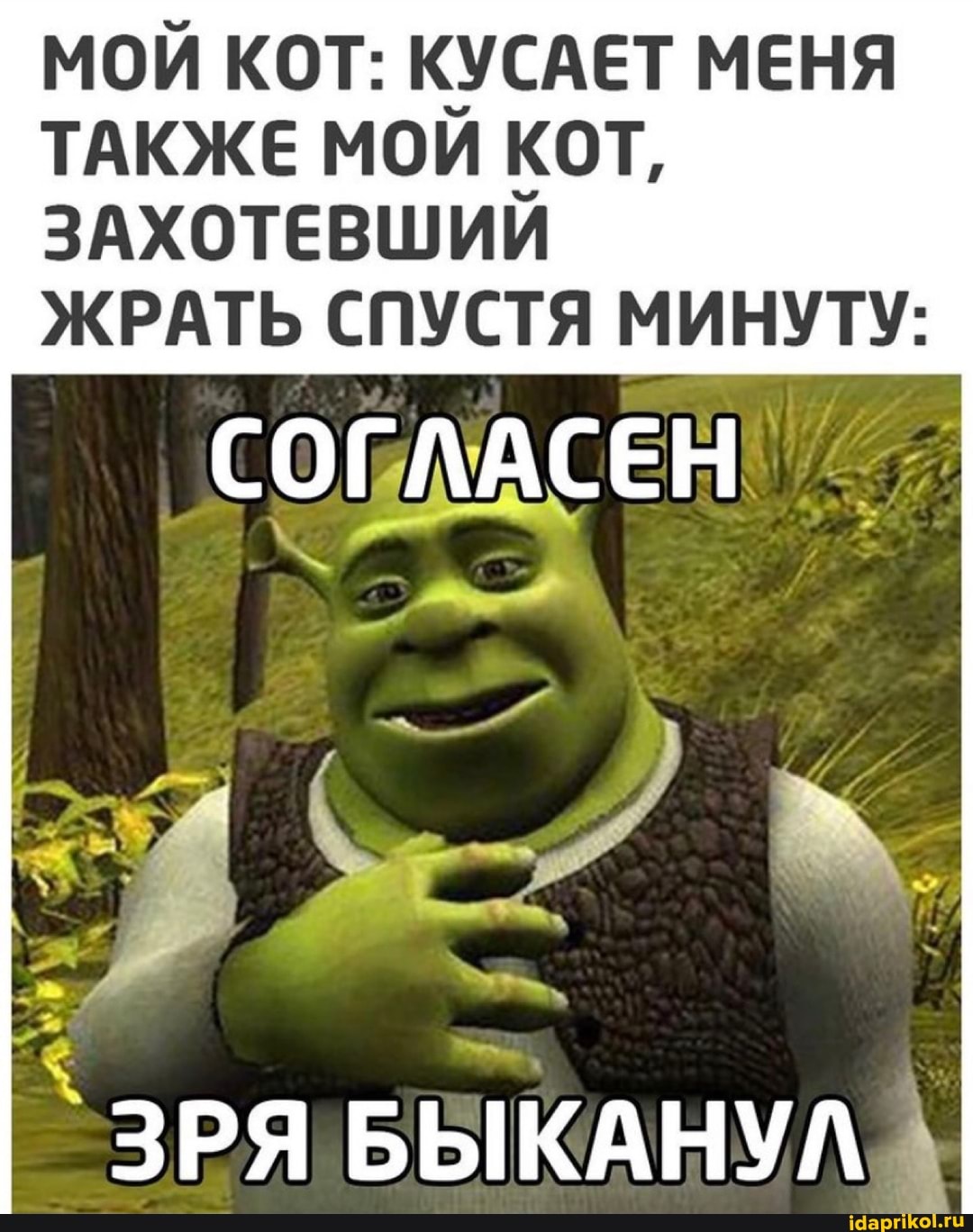 МОЙ КОТ: КУСАЕТ МЕНЯ ТАКЖЕ МОЙ КОТ,
ЗАХОТЕВШИЙ ЖРАТЬ СПУСТЯ МИНУТУ:
СОГЛАСЕН
ЗРЯ БЫКАНУЛ