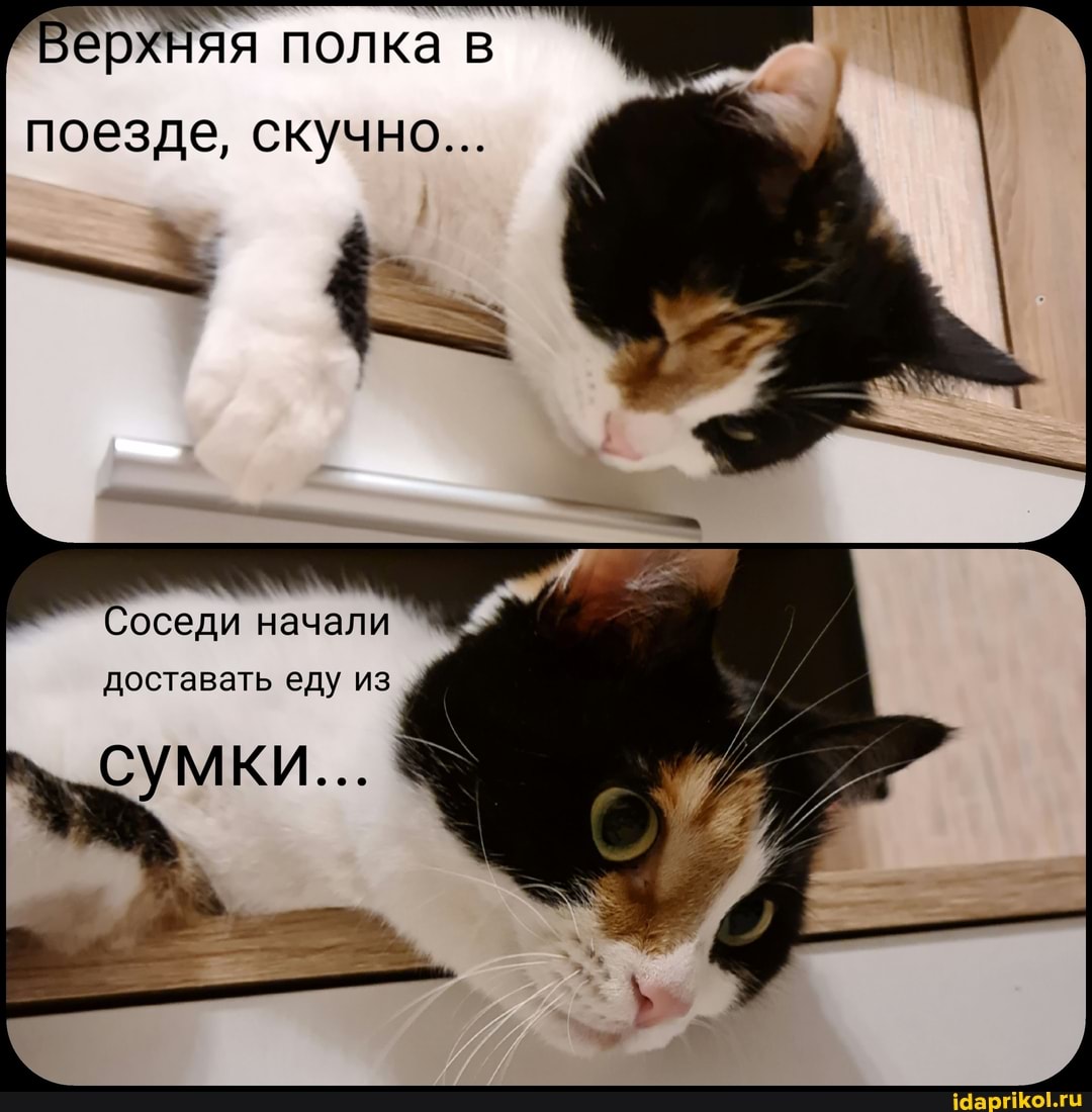 Верхняя полка в
поезде, скучно...
Соседи начали доставать еду из
сумки...