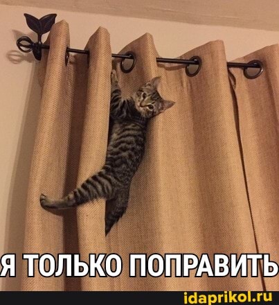 Я ТОЛЬКО ПОПРАВИТЬ